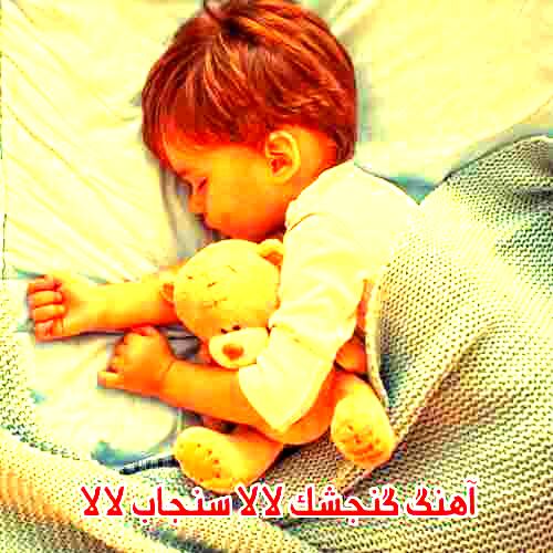دانلود آهنگ گنجشک لالا مهتاب لالا+(طولانی و کوتاه) متن آهنگ