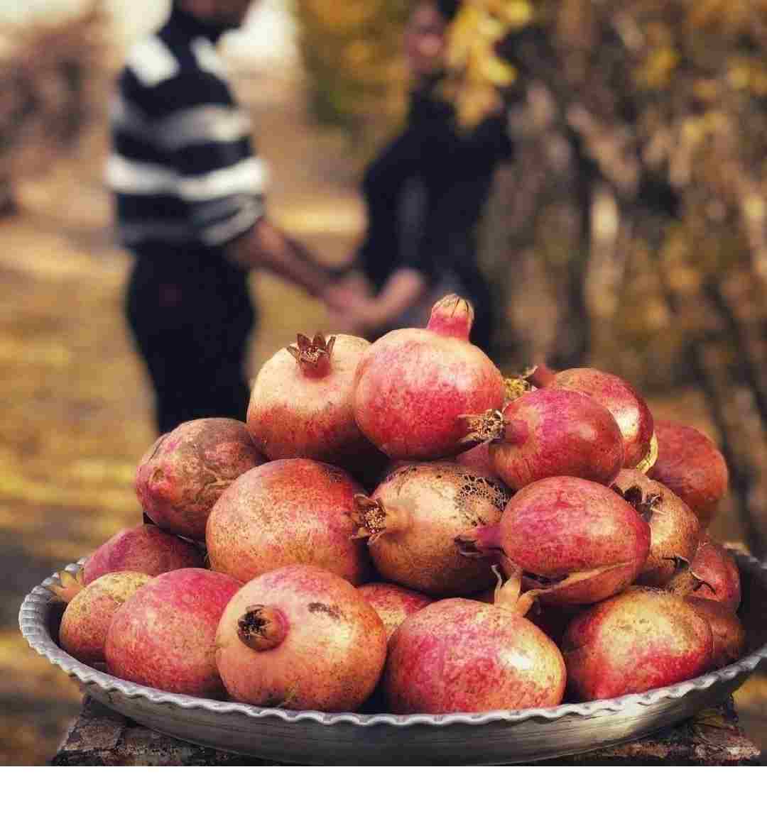 دانلود اهنگ ای انار انار بیا به بالینم (ریمیکس+ تمام خواننده ها)