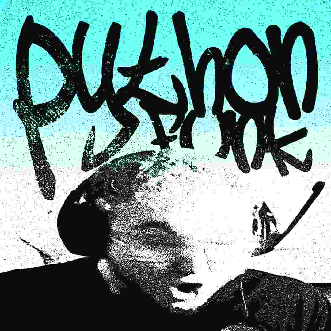 دانلود آهنگ PYTHON FUNK از Sayfalse (تمام ورژن ها)