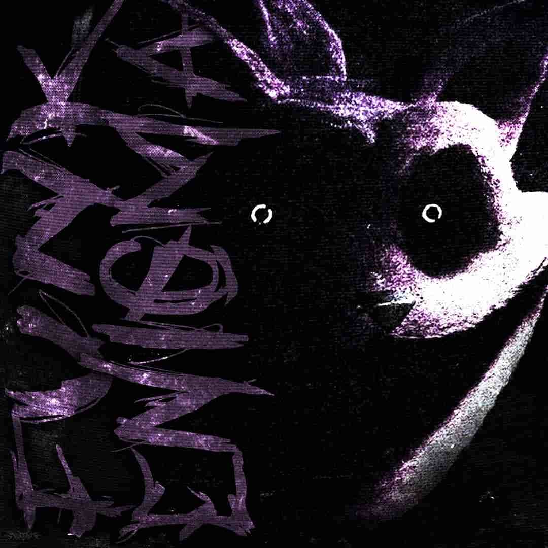 دانلود آهنگ فانک FUNK ENIGMA از h6itam ( تمام ورژن ها)