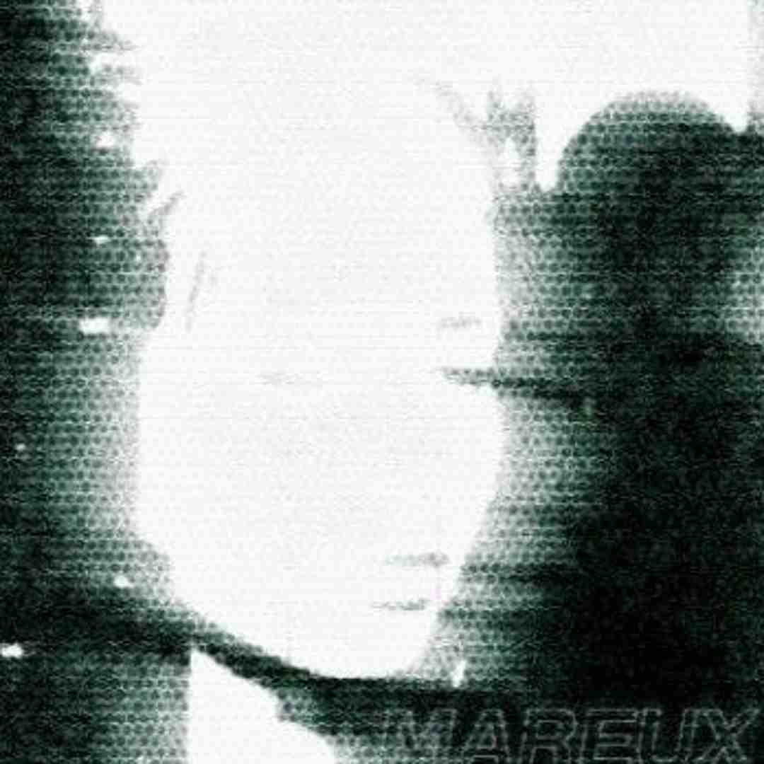 دانلود آهنگ The Perfect Girl از Mareux ( ریمیکس + بی کلام)