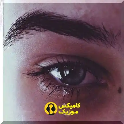 دانلود آهنگ دل منم نمی‌خواست (پخش آنلاین با کیفیت اصلی و عالی)_comixmusic.ir