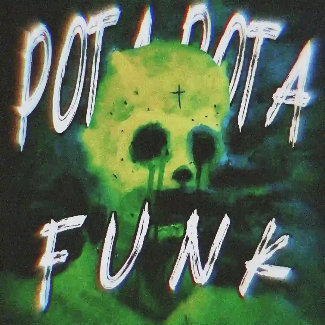 دانلود آهنگ فانک POTA POTA FUNK