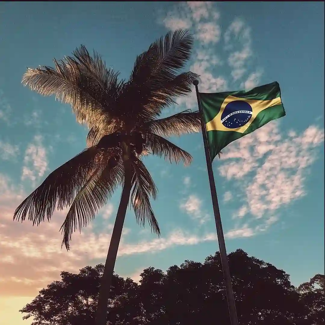 دانلود آهنگ فانک TOILE IN BRASIL