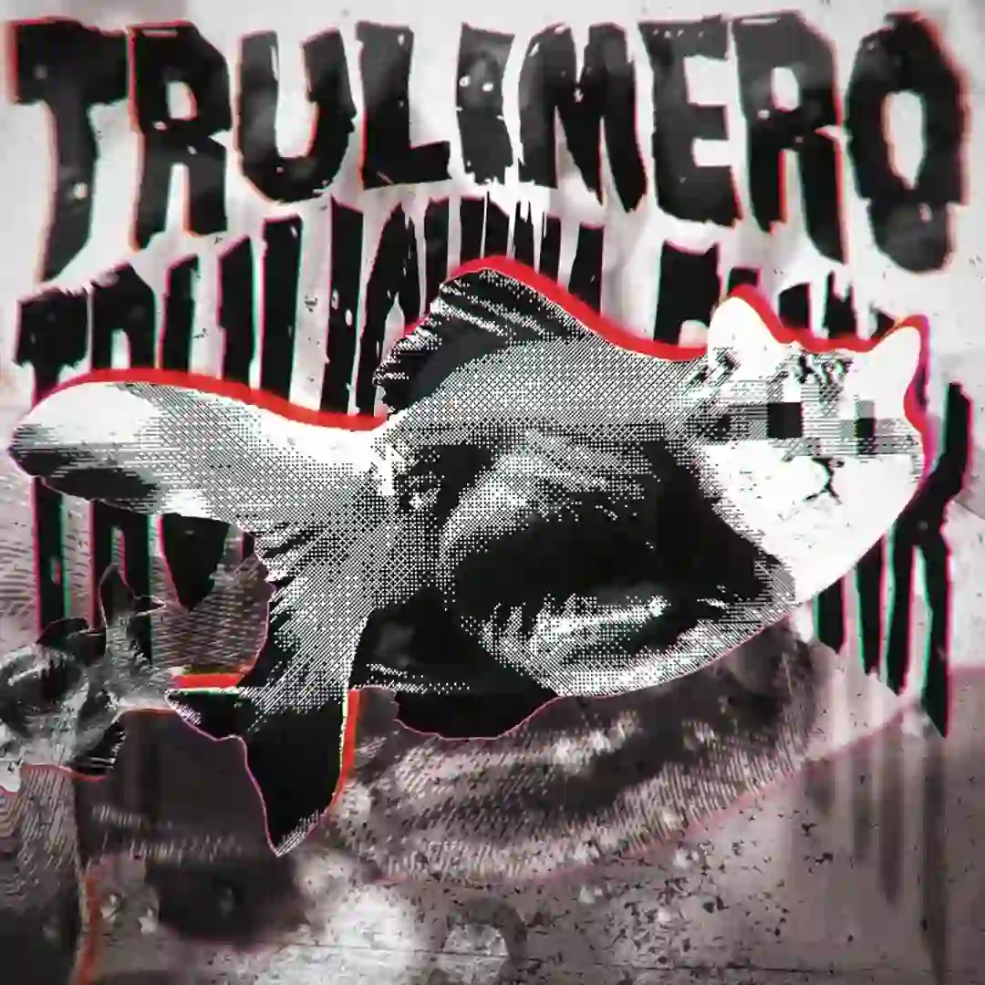 دانلود آهنگ فانک TRULIMERO TRULICHINA FUNK