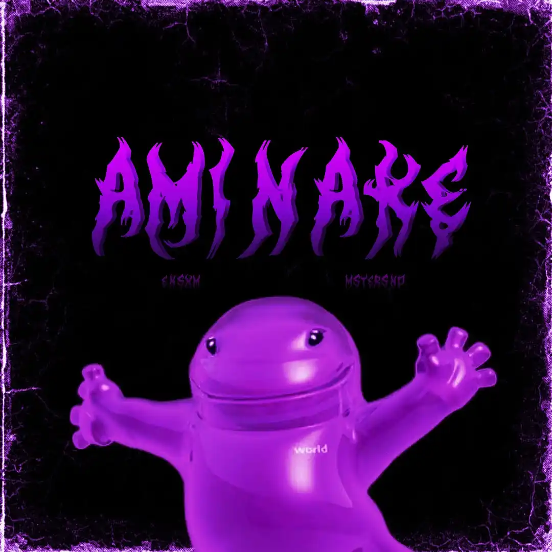 دانلود آهنگ فانک AMINAKE FUNK