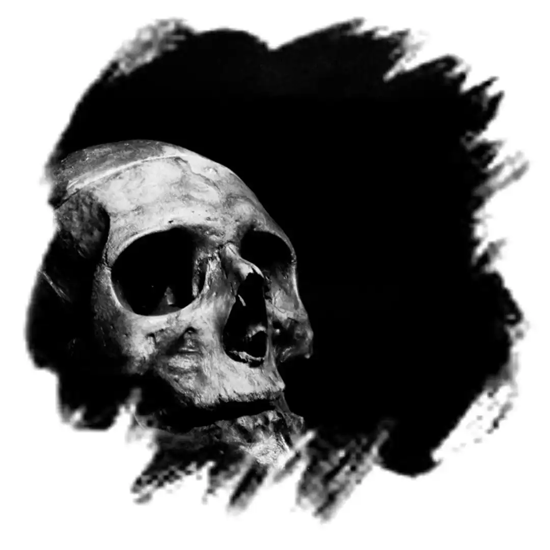 Dark - Bitchbaby.jpg_comixmusic.ir