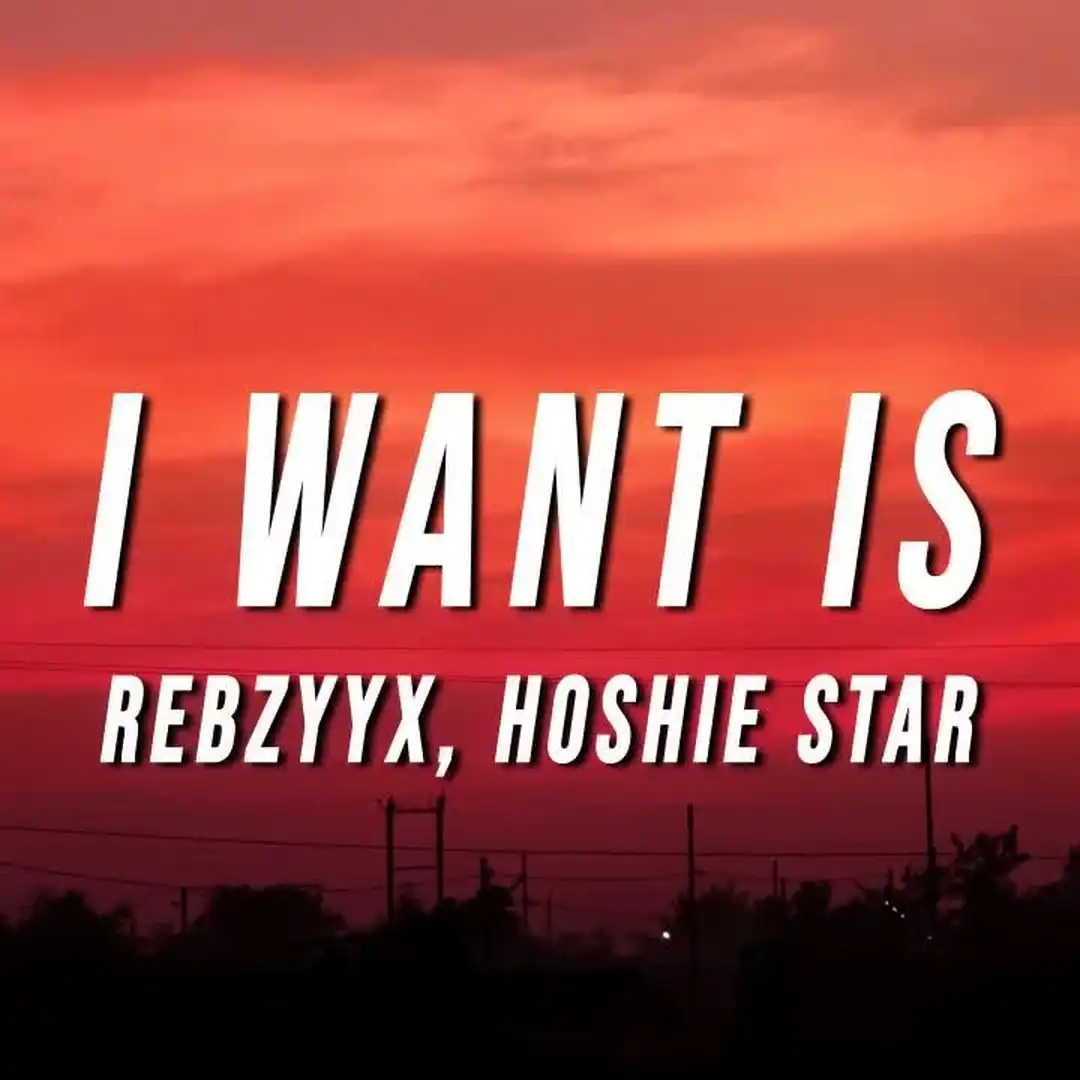 Rebzyyx - all i want is you (Lyrics) ft. hoshie star.jpg_comixmusic.ir