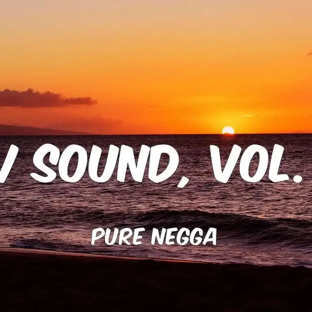 Pure Negga Cnv Sound, Vol. 14