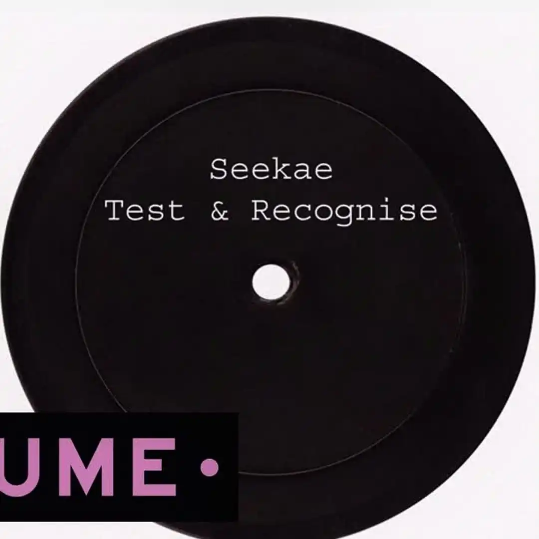 Seekae Test & Recognise