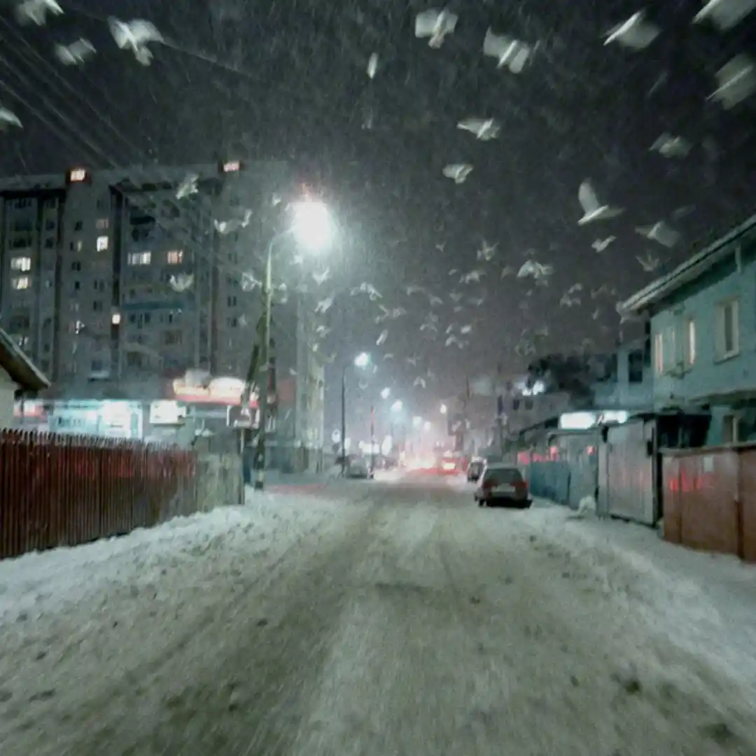دانلود آهنگ Blizzard