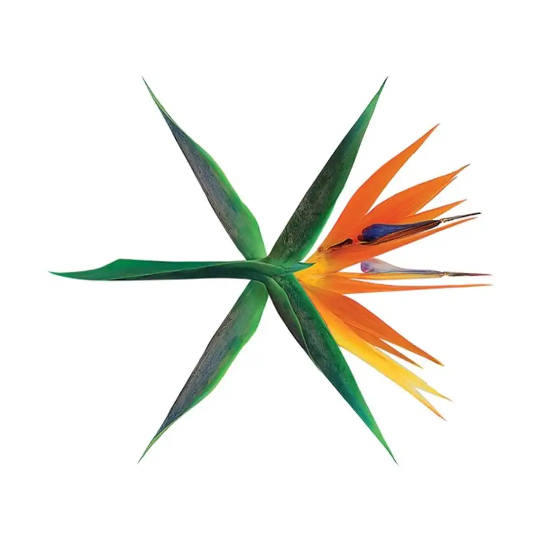 Diamond از Exo