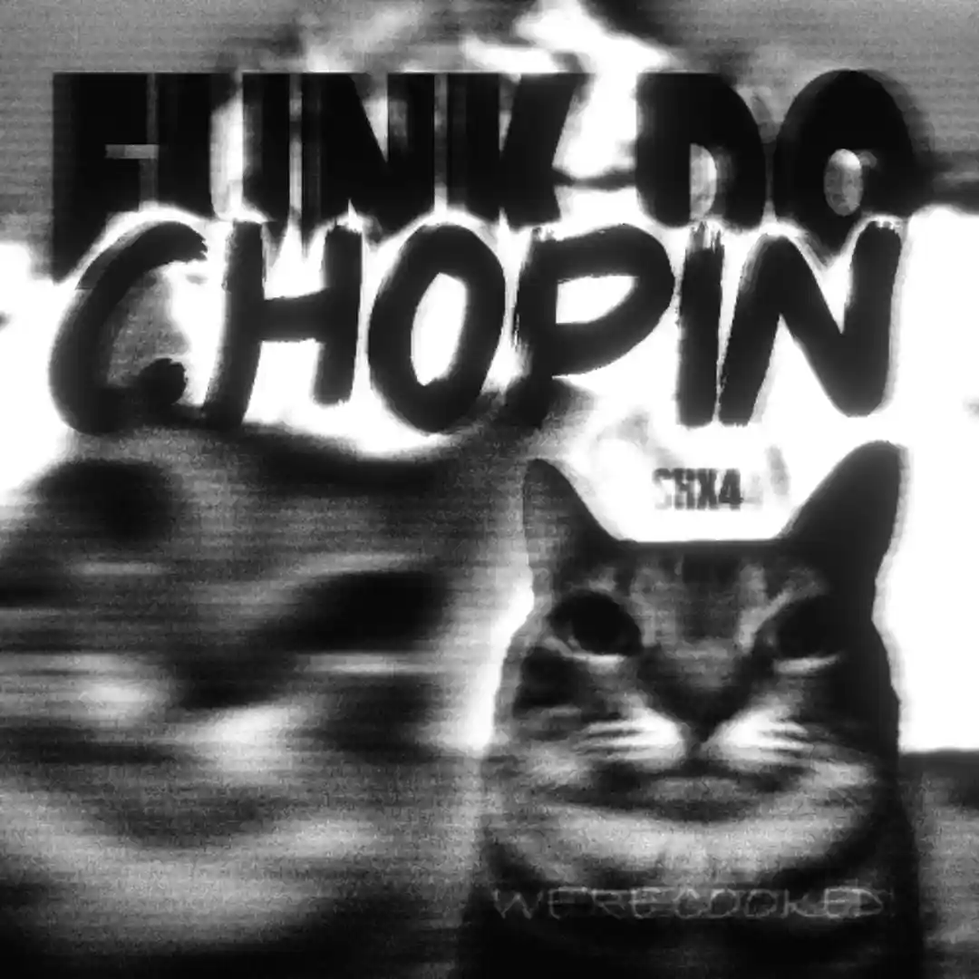 دانلود آهنگ فانک FUNK DO CHOPIN
