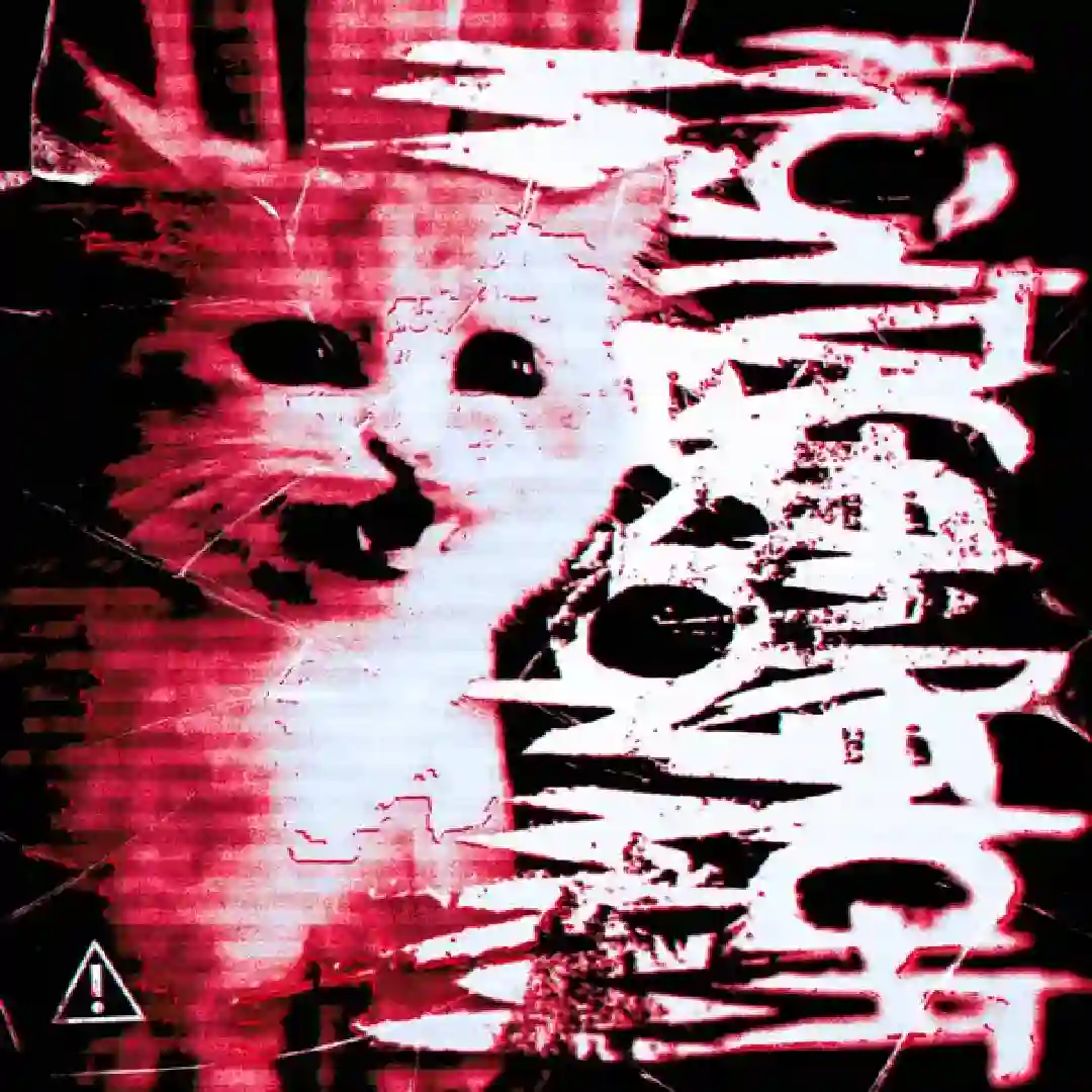 دانلود آهنگ فانک MONTAGEM RENICHT MIX VERSION MRW