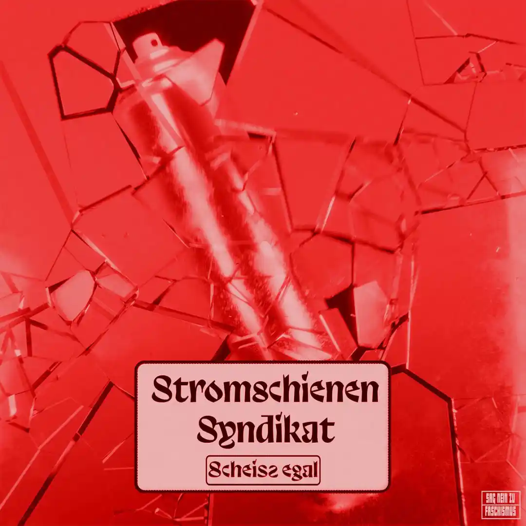 دانلود آهنگ Scheiss Egal (District Red Remix)