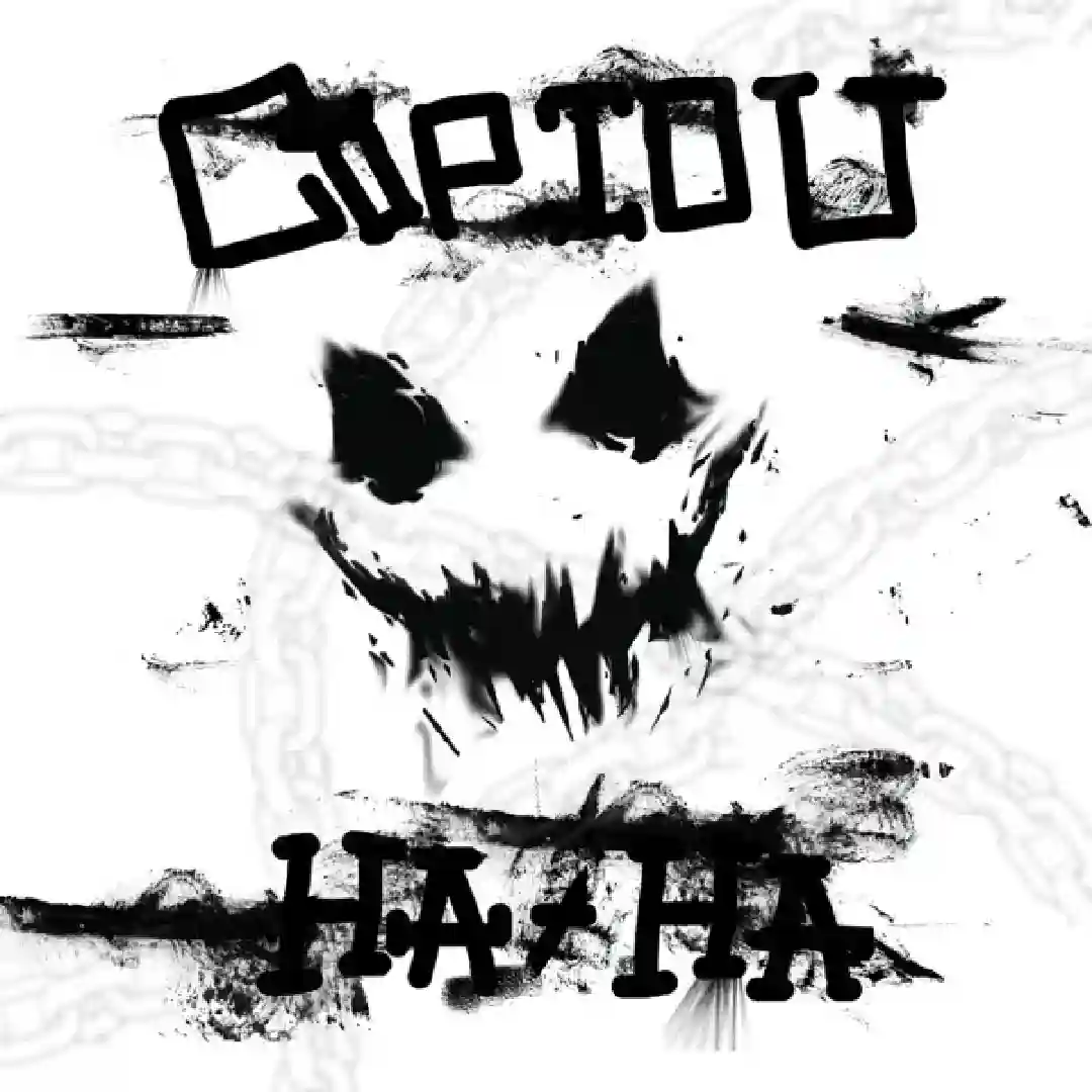 دانلود آهنگ فانک MTG - COPIOU HA HA