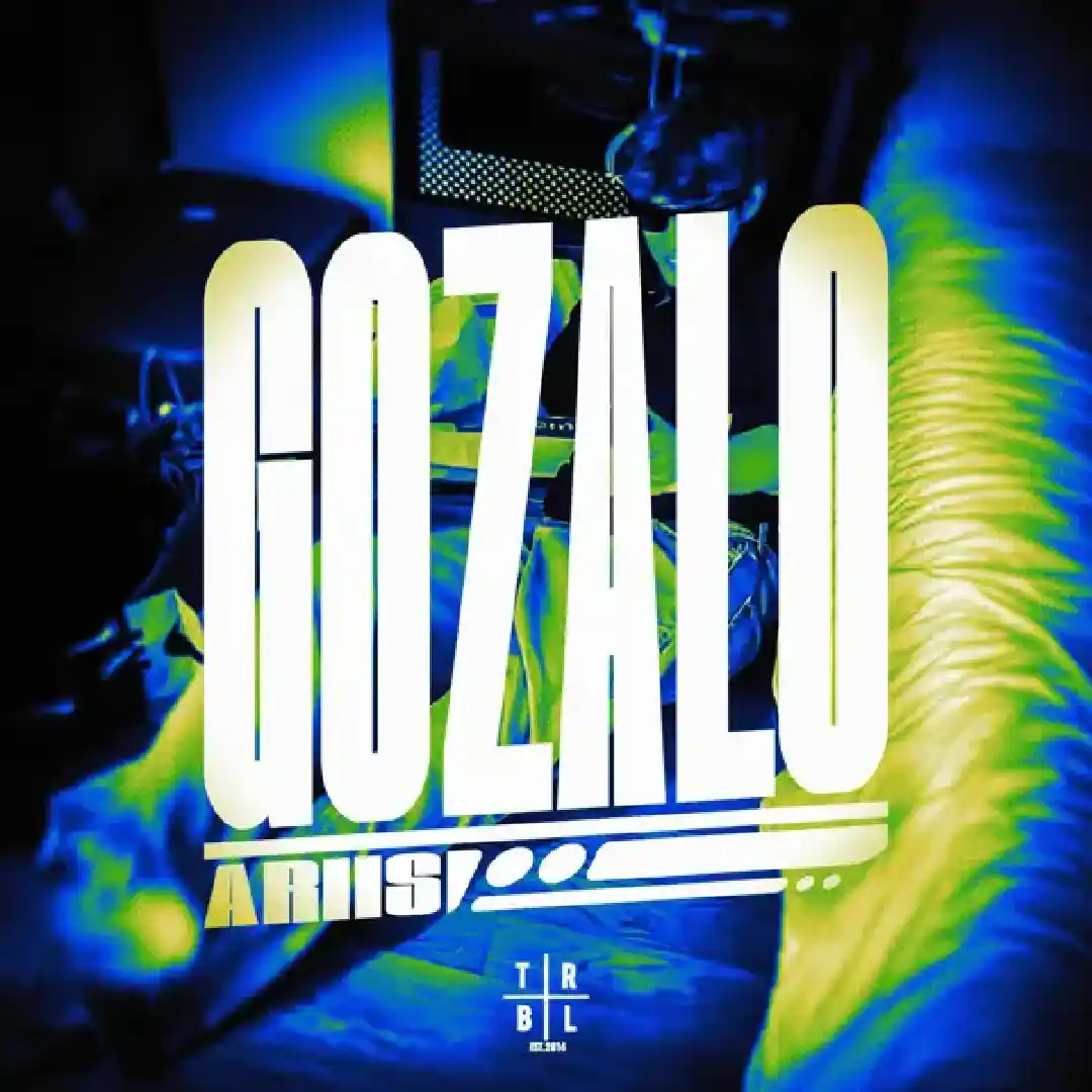 دانلود آهنگ فانک Gozalo