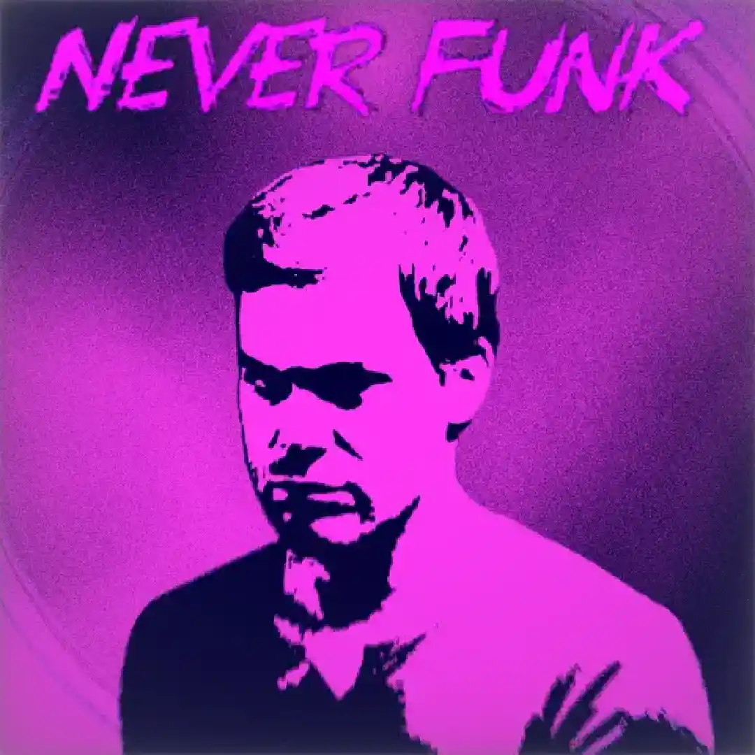 دانلود آهنگ فانک NEVER FUNK (INSTRUMENTAL)