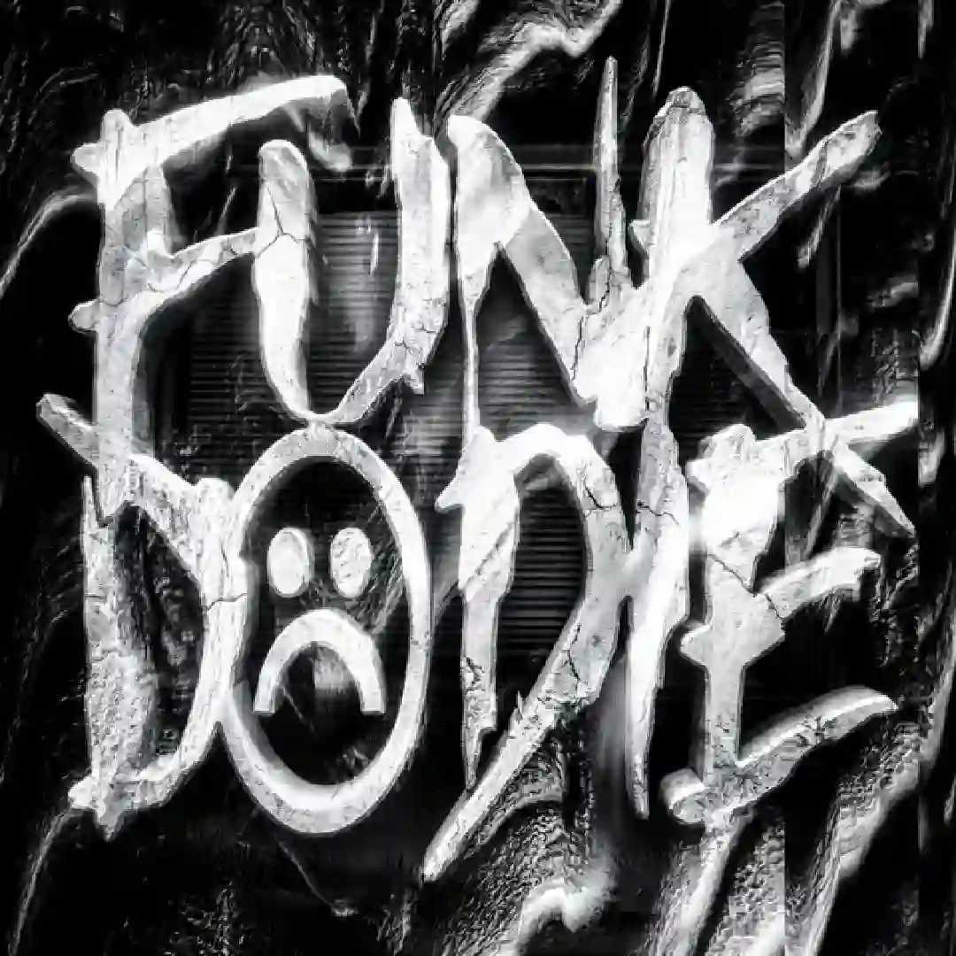 دانلود آهنگ فانک FUNK DO DIE