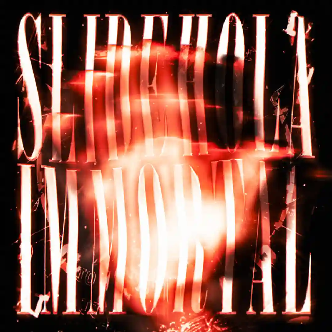 دانلود آهنگ فانک SLIDE HOLA IMMORTAL