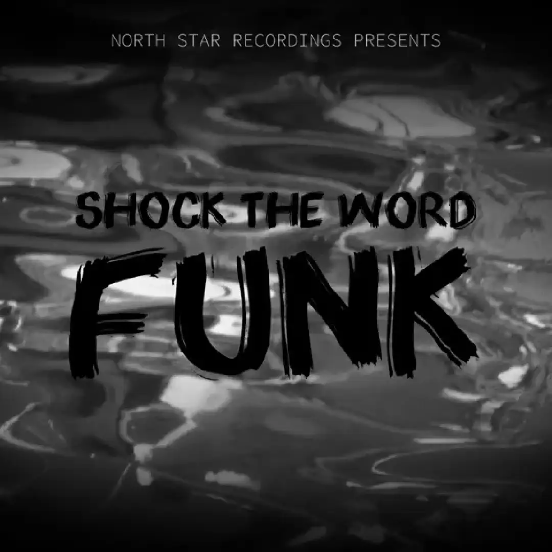 دانلود آهنگ فانک shock the word funk