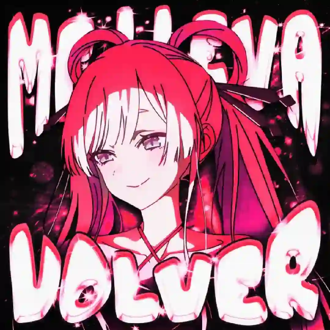 دانلود آهنگ فانک ME LLEVA VOLVER 