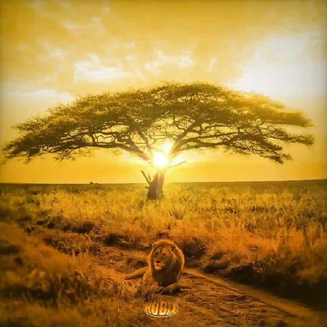 دانلود آهنگ فانک MAKE PEACE