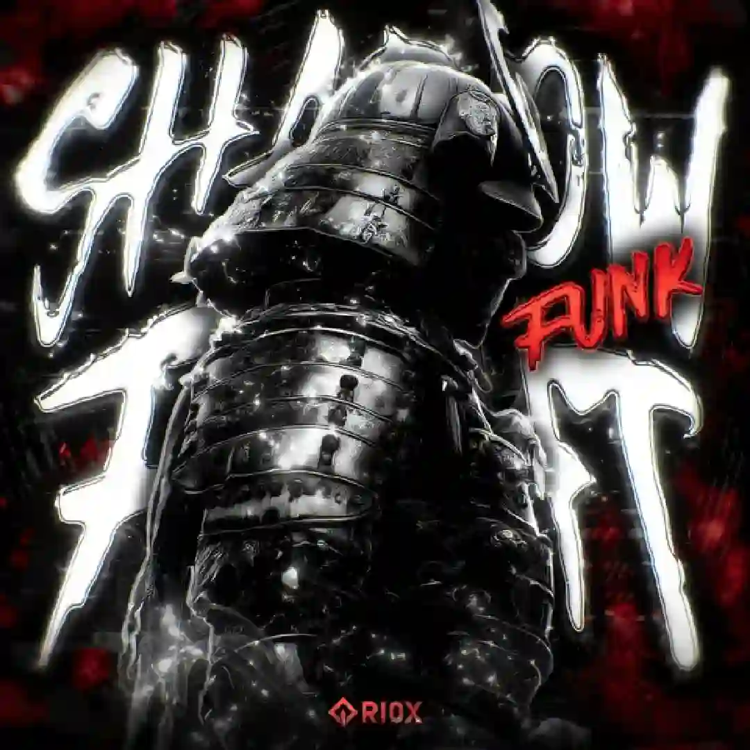 دانلود آهنگ فانک SHADOW FIGHT FUNK