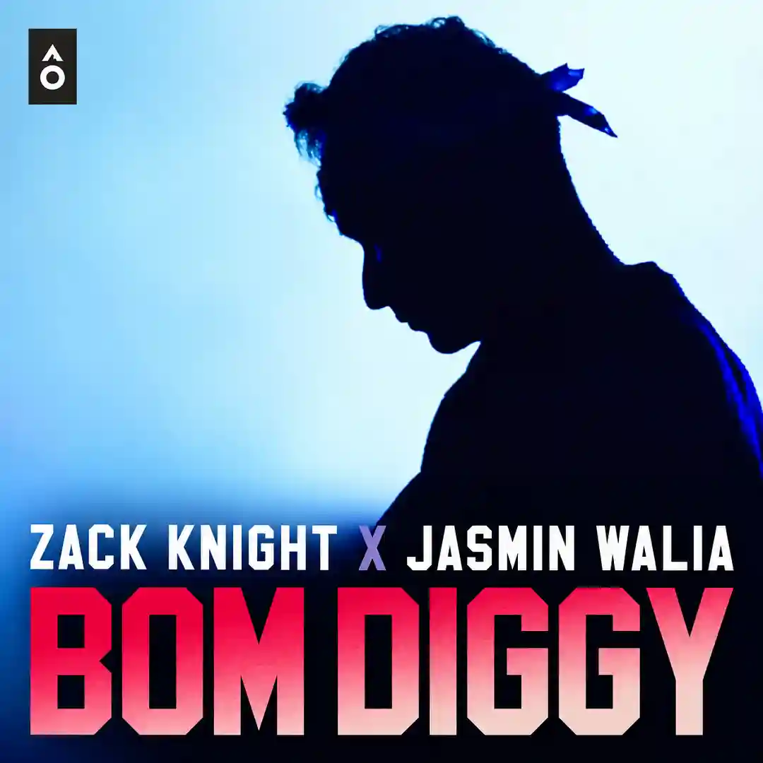 دانلود آهنگ Bom Diggy